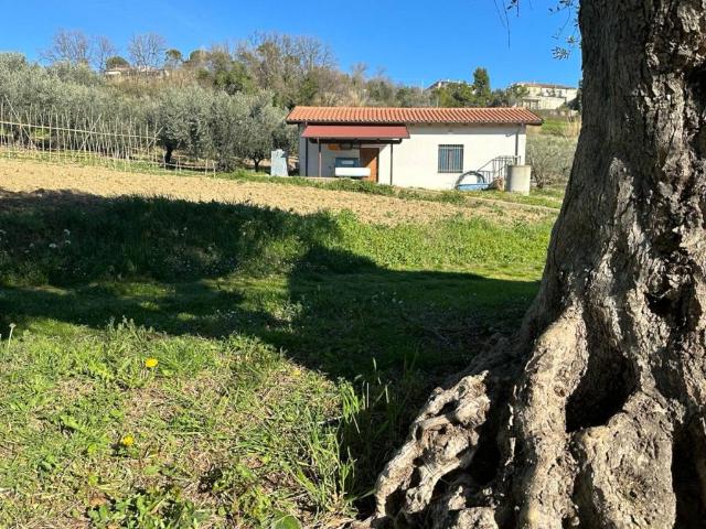 Terreno in vendita a Atri, Abruzzo