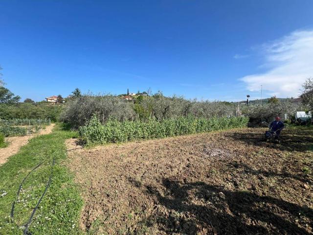 Terreno in vendita a Fontanelle, Atri