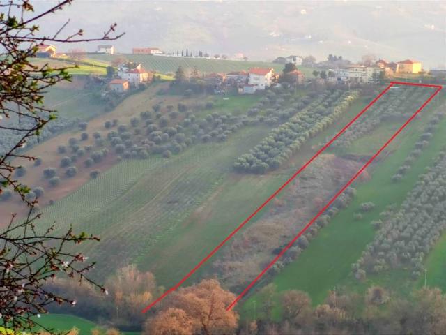 Terreno in vendita a Città Sant'angelo, Abruzzo