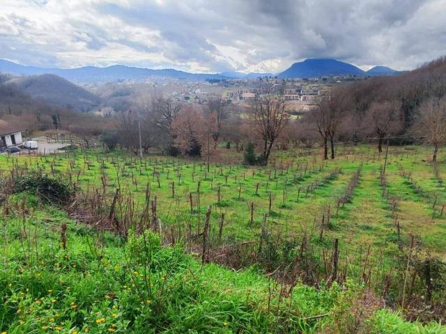Terreno in vendita a Atripalda, Campania