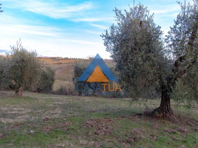 Terreno in vendita a Casali, Attigliano