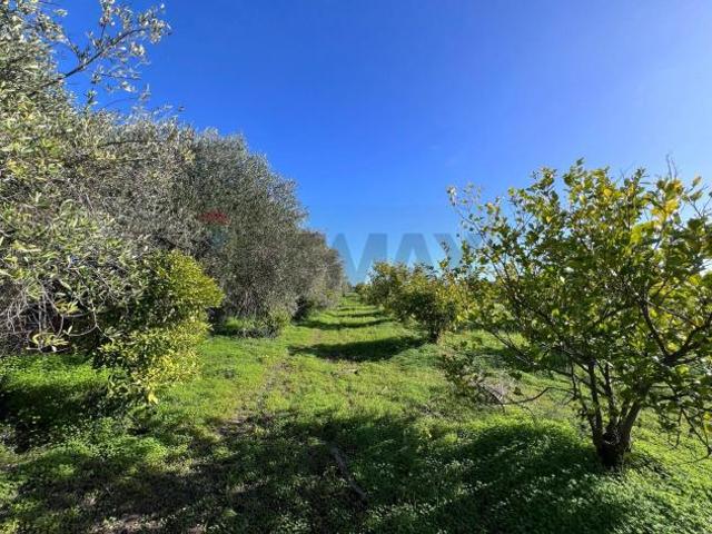 Terreno in vendita a Augusta, Sicilia
