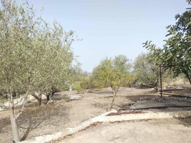 Terreno in vendita a Francofonte, Sicilia