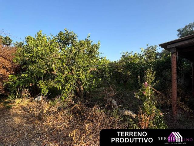 Terreno in vendita a Augusta, Sicilia