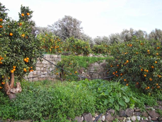 Terreno in vendita a Augusta, Sicilia