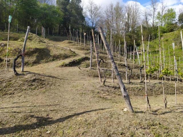 Terreno in vendita a Unione di comuni Montana Lunigiana, Aulla