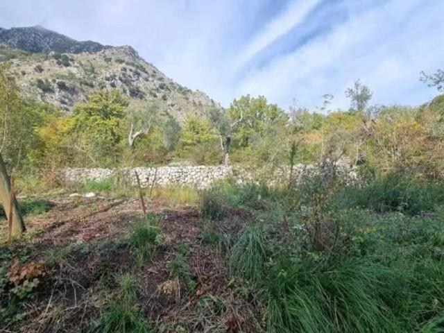 Terreno in vendita a Ausonia, Lazio