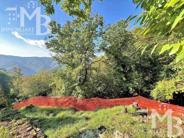 Terreno in vendita a Steneri, Avegno