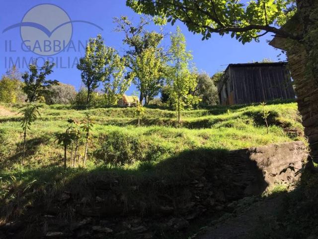 Terreno in vendita a Testana, Molino Nuovo