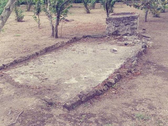 Terreno in vendita a Avella, Campania