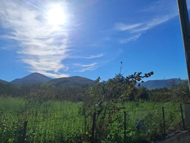 Terreno in vendita a Avella, Campania