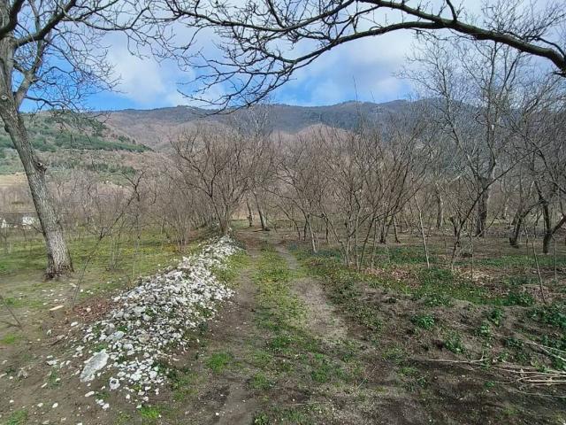 Terreno in vendita a Avella, Campania