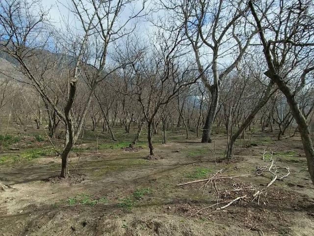 Terreno in vendita a Avella, Avellino