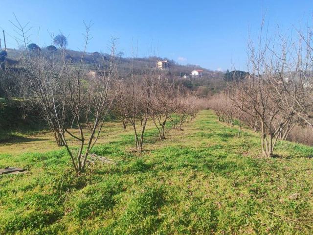 Terreno in vendita a Avellino, Campania