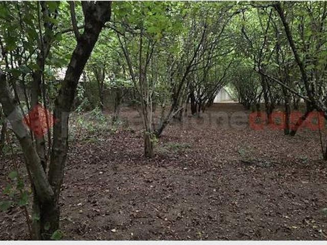 Terreno in vendita a Avellino, Campania