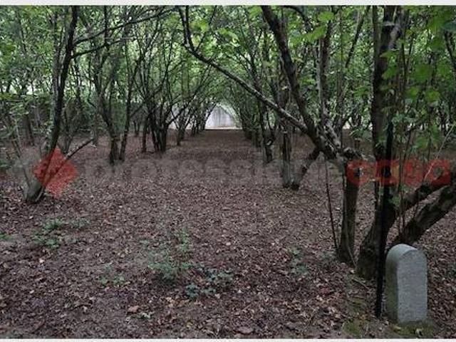Terreno in vendita a Avellino, Campania