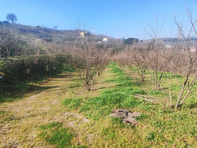 Terreno in vendita a Avellino, Campania