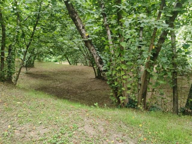Terreno in vendita a Avellino, Campania