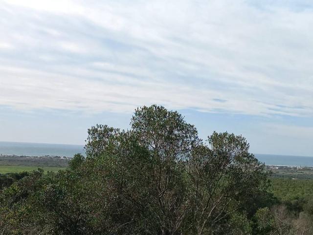 Terreno in vendita a Puglia, Taranto