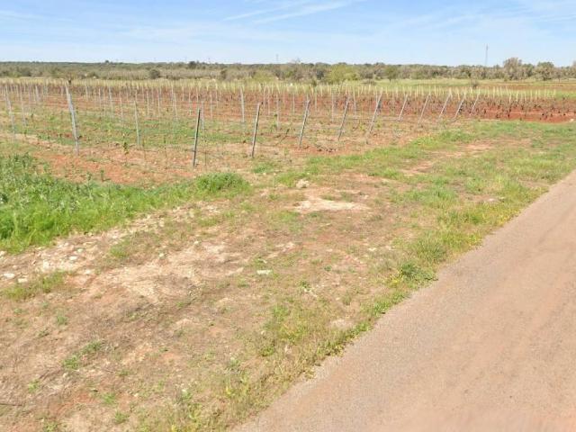 Terreno in vendita a Puglia, Taranto
