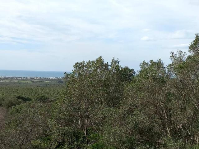 Terreno in vendita a Puglia, Taranto