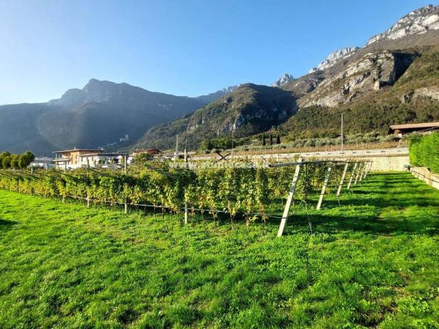 Terreno in vendita a Comunità della Vallagarina, Avio