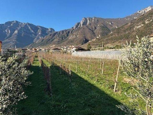 Terreno in vendita a Comunità della Vallagarina, Avio