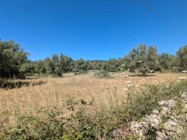 Terreno in vendita a Avola, Sicilia