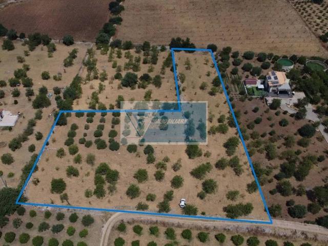 Terreno in vendita a Avola, Sicilia