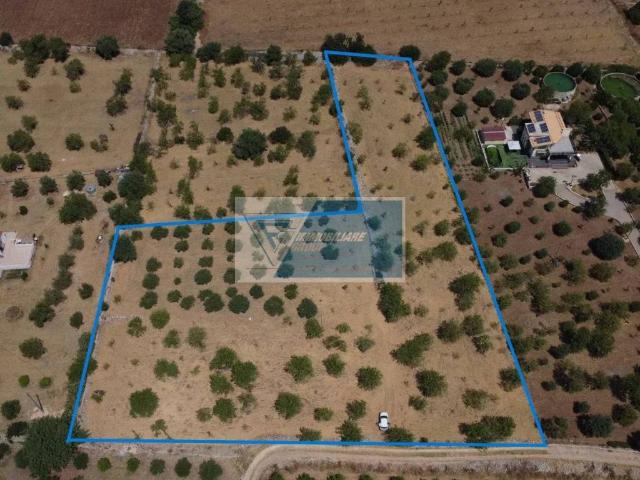 Terreno in vendita a Avola, Sicilia
