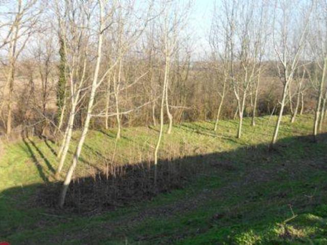 Terreno in vendita a Azzanello, Lombardia
