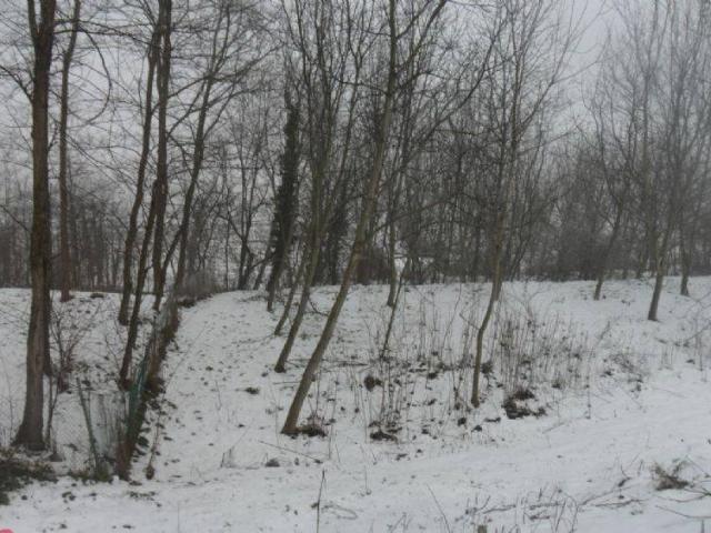 Terreno in vendita a Azzanello, Lombardia
