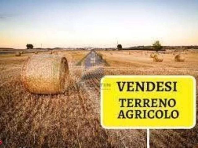 Terreno in vendita a Azzano Decimo, Friuli-Venezia Giulia