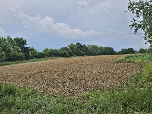 Terreno in vendita a Azzano Decimo, Friuli-Venezia Giulia