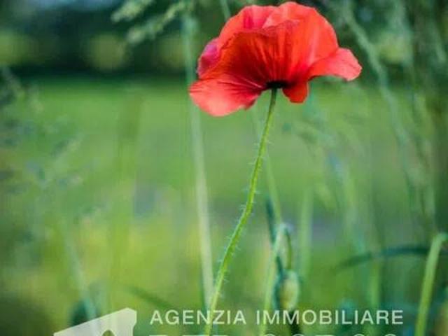 Terreno in vendita a Azzano Decimo, Friuli-Venezia Giulia