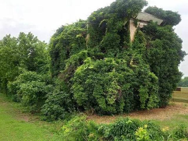 Terreno in vendita a Azzano Decimo / Daçan di Pordenon, Azzano Decimo