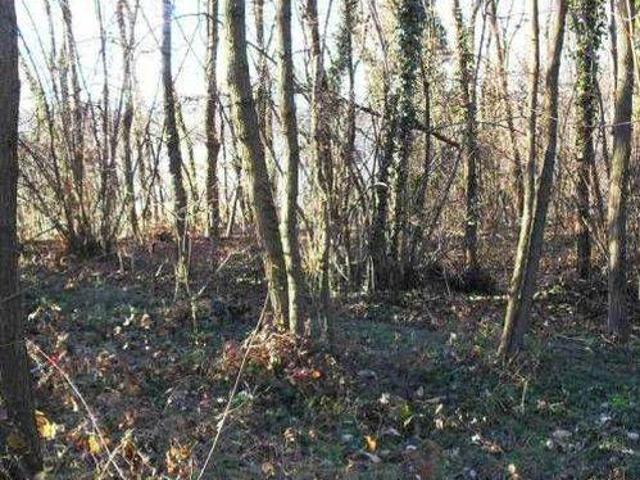 Terreno in vendita a Azzate, Lombardia
