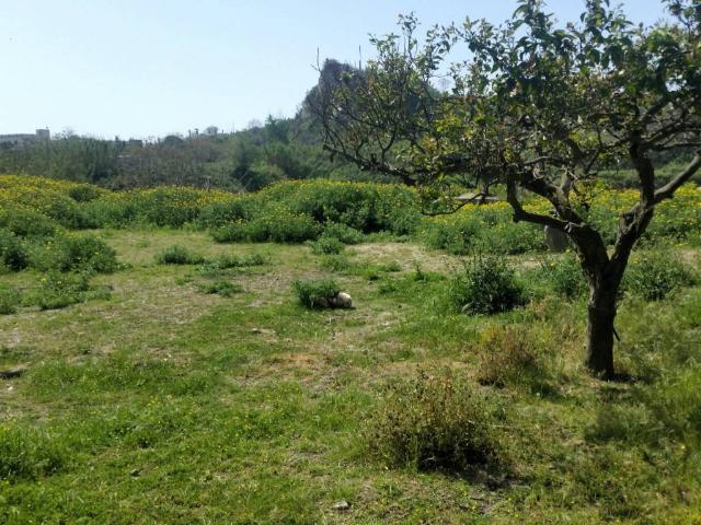 Terreno in vendita a Bacoli, Campania