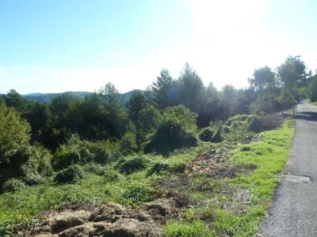 Terreno in vendita a Badia Calavena, Veneto