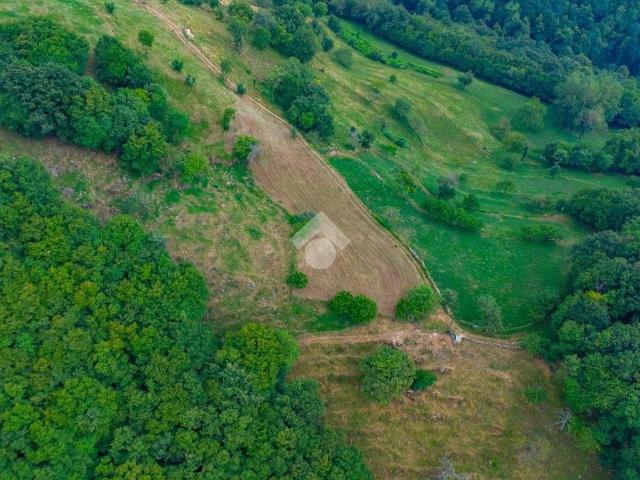 Terreno in vendita a Badia Calavena, Veneto