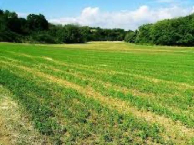 Terreno in vendita a Villafora, Badia Polesine