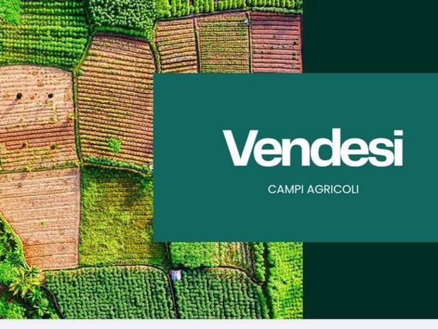 Terreno in vendita a Badia Polesine, Veneto
