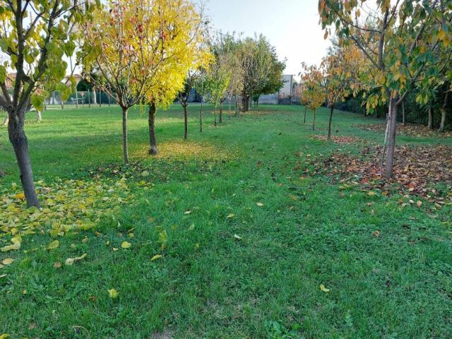 Terreno in vendita a Villa d'Adige, Badia Polesine