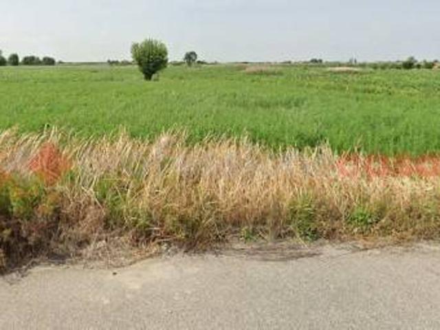 Terreno in vendita a Villafora, Badia Polesine