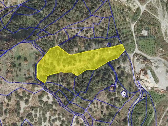 Terreno in vendita a Calabria, Reggio Calabria
