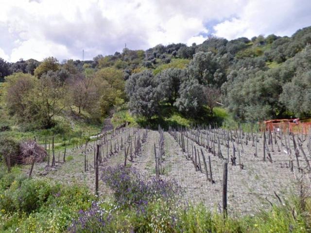 Terreno in vendita a Calabria, Reggio Calabria