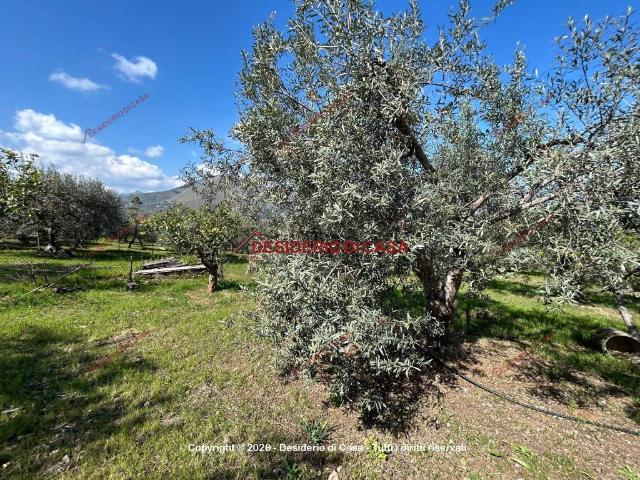 Terreno in vendita a Bagheria, Sicilia