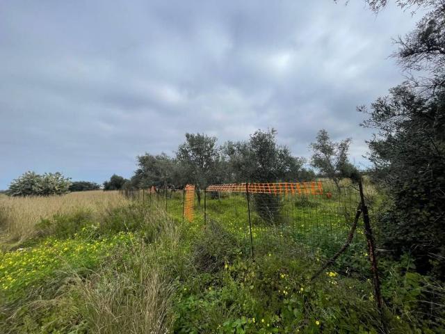 Terreno in vendita a Bagheria, Sicilia