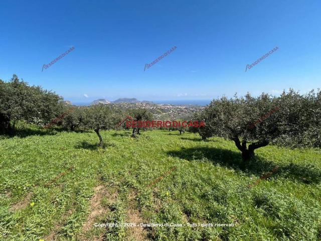 Terreno in vendita a Bagheria, Sicilia