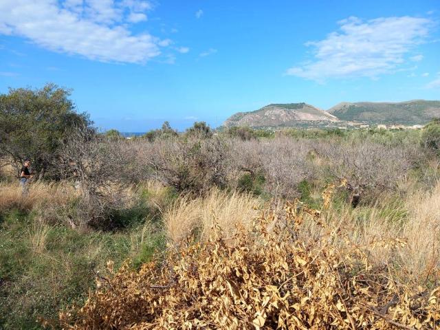 Terreno in vendita a Bagheria, Sicilia